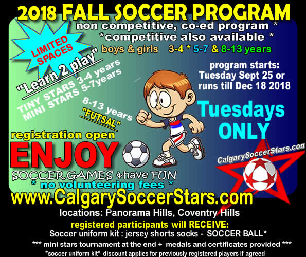 calgary-indoor-soccer-stars-program-for-kids-evanston-timbits-mini-stars-creek-side-kincora